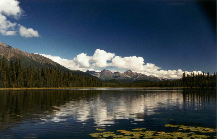 Wrangell-St Elias NP