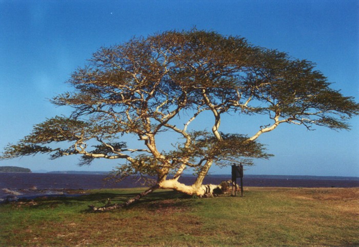 Falsebay Park, Kwazulu Natal