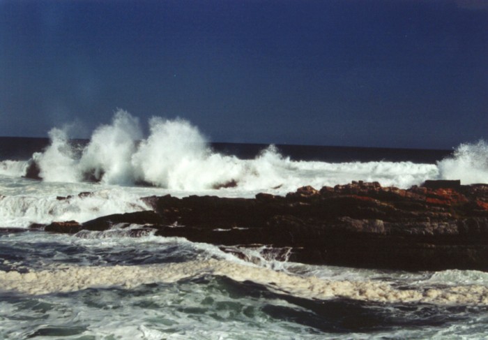 Tsitsikamma Coastal NP, Eastern Cape