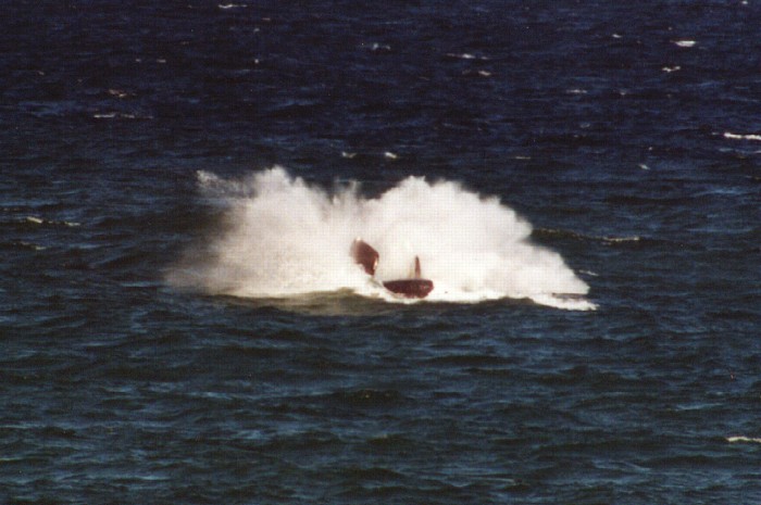 Southern Right Whale, Hermanus, Western Cape